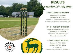 Image result for Theale and Tilehurst Cricket Club