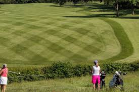 Image result for Wolds Gc
