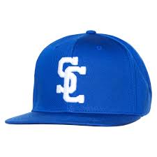 Image result for The Hornsey Club