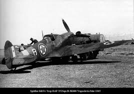Image result for SPITFIRE SAMBO CLUB