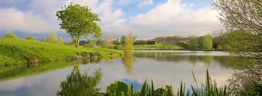 Image result for Cumberwell Park Golf Club