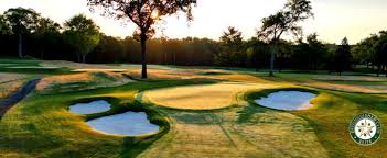 Image result for Edgewood Judo Club