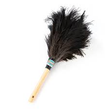 Image result for mop tehron