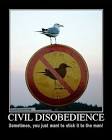 Civil Disobedience « « Missouri Criminal Defense Lawyer Missouri ...
