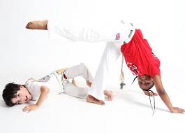 Image result for Brazilian-martial arts