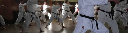 Image result for Kenshukai Karate