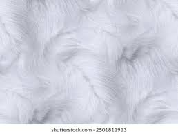 Image result for white rabbit skin texture