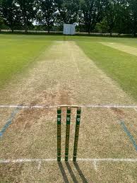 Image result for Peper Harow Cricket Club