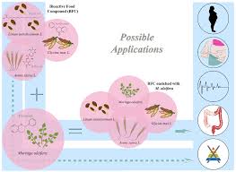 Attēlu rezultāti vaicājumam “Avena sativa fruit”
