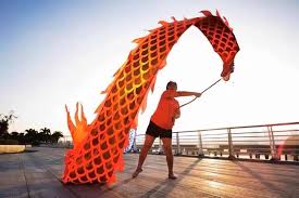 Image result for TRIANGLE CHANGQUAN FLYING DRAGON