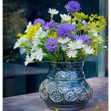 Attēlu rezultāti vaicājumam “Succisa pratensis bud”