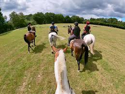 Image result for Thames Valley Riding Club