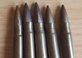 Image result for Basingstoke Bullets