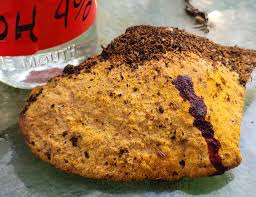 Attēlu rezultāti vaicājumam “Hapalopilus croceus”