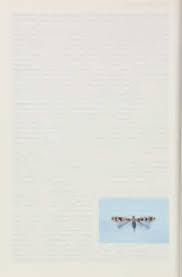 Attēlu rezultāti vaicājumam “Lacanobia contigua imago”