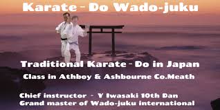 Image result for Abbey Fit Karate Club & Seiki Juku