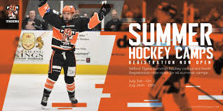 Image result for Telford Junior Ice Hockey Club