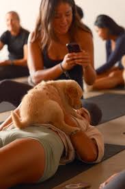 Image result for Relaxing Yoga Club