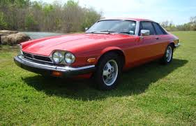 Image result for Barley Yellow 1981 Jaguar