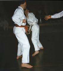 Image result for Thatcham Wado Karate Club