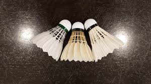 Image result for Feathers (New Milton) Badminton Club