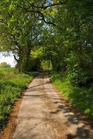 Image result for Colchester and Tendring Ac