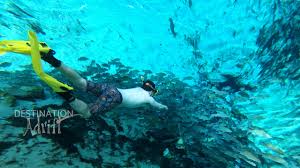 Image result for Stalybridge Snorkel Club