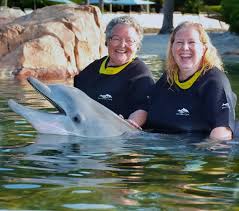 Image result for Dolphins Sheltered & Disabled Swim Club