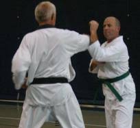 Image result for Dujon Tae Kwon Do