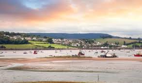 Image result for Dawlish Sc