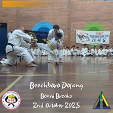 Image result for Breakthrough Tae Kwon Do