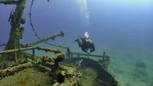 Image result for Dolphin Sub Aqua