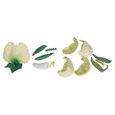 Attēlu rezultāti vaicājumam “Pisum sativum flower”