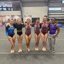 Image result for Redcar School Of Gymnastics