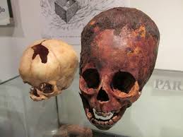 Image result for elongated skulls