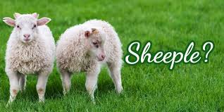 Image result for sheeple