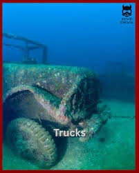 Image result for S England Dive Devil