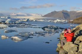 Image result for Ildblomkarse