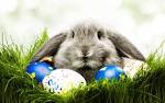 EASTER BUNNY fun at The Sandbar Restaurant - Island Real Estate