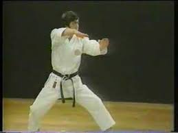 Image result for Inyo Karate Do Ninbukan