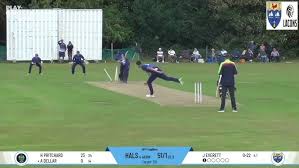 Image result for Halstead Colts Cricket Club