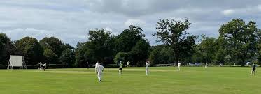 Image result for Tendring Cricket Club