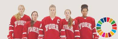 Image result for York University Hockey Club