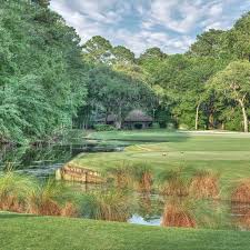 Image result for Dolphina Gc