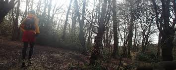 Image result for Epping Runners