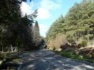 near to Stonyfield, Highland, Great Britain. Farm track near Wester - via Daymix