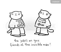 Image result for invisible cat