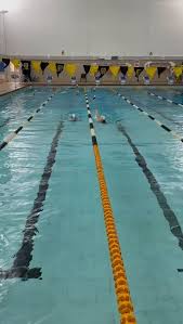Image result for West London Penquin Swimming & Water Polo Club