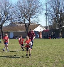 Image result for Bideford Rugby Football Club