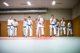 Image result for Shitokai Karate Club